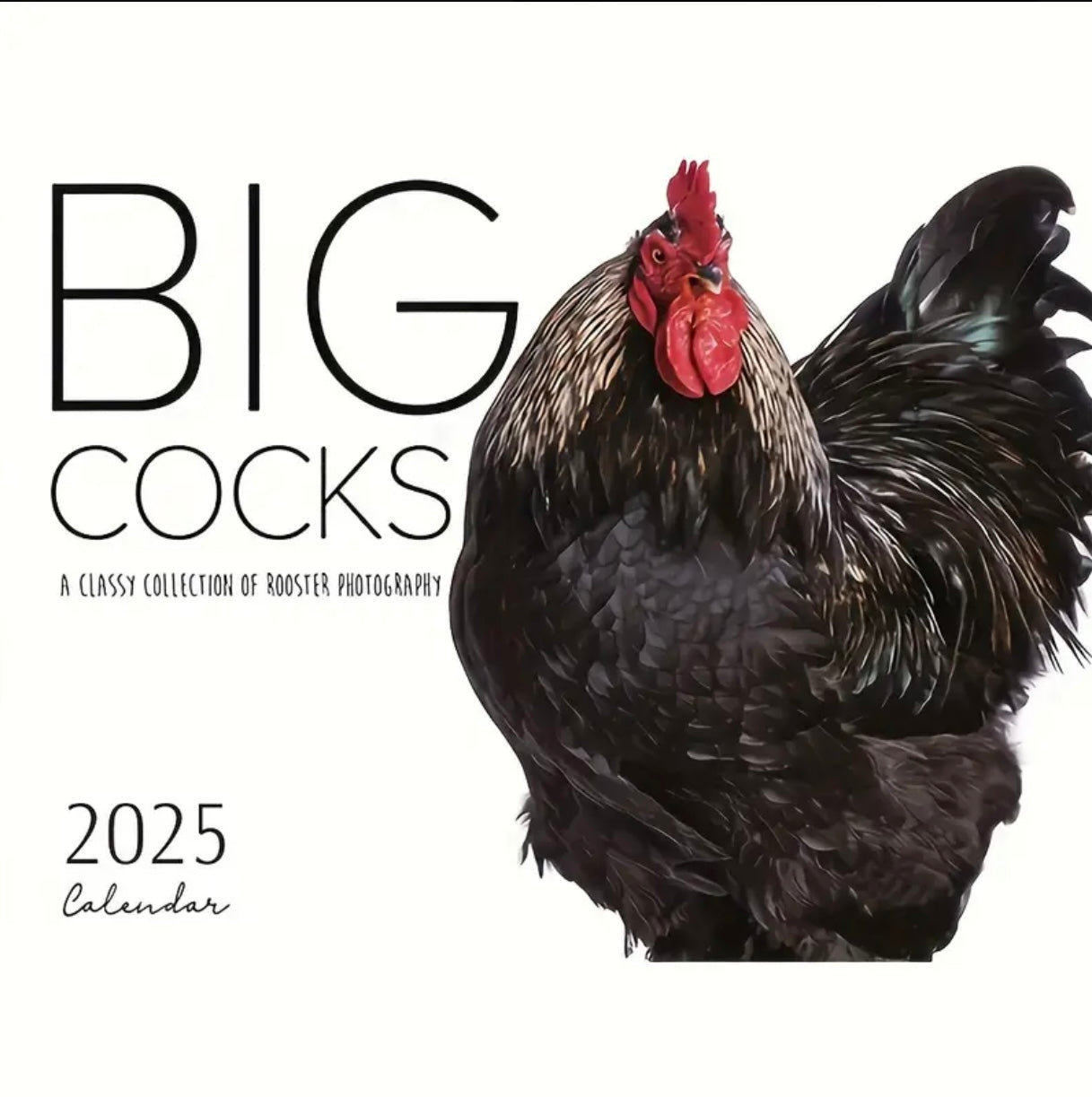 2025 Calendars