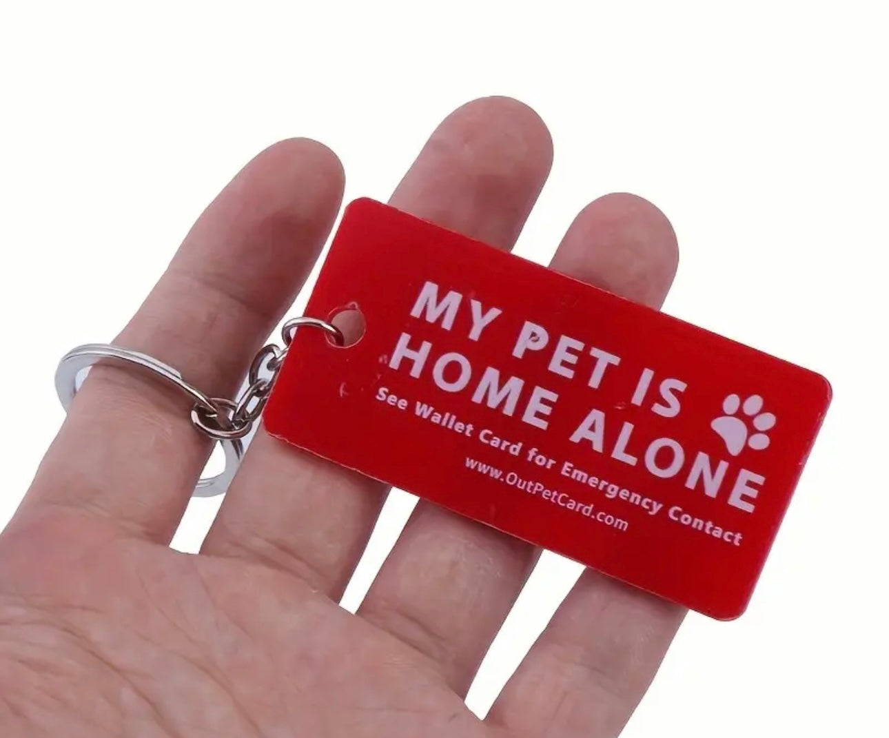 'My Pet is Home Alone' Keyring