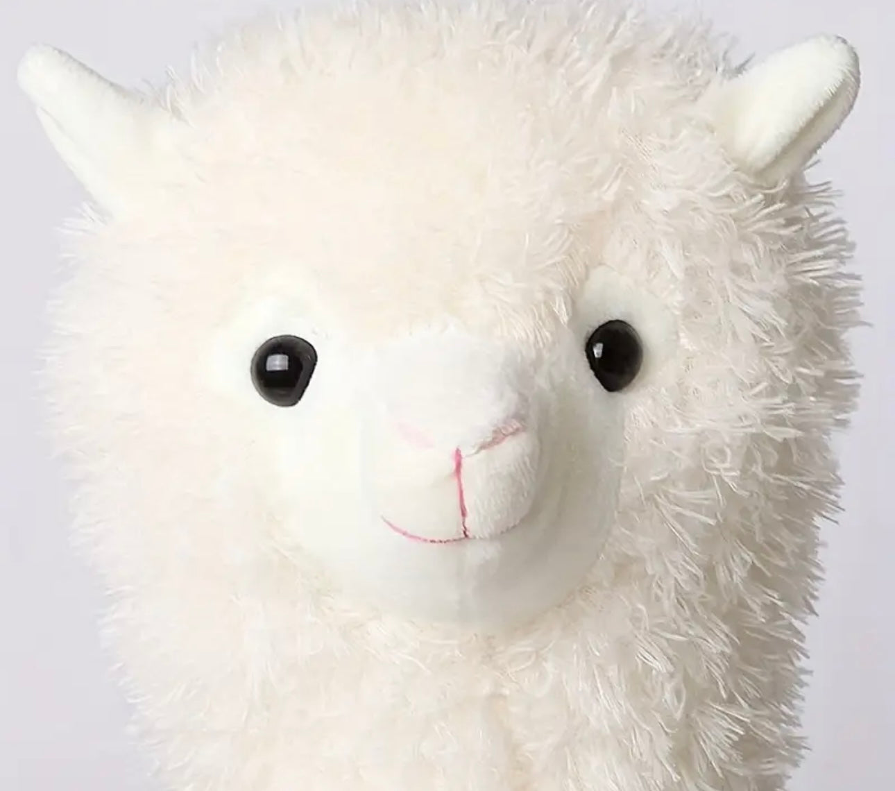 Soft Alpaca