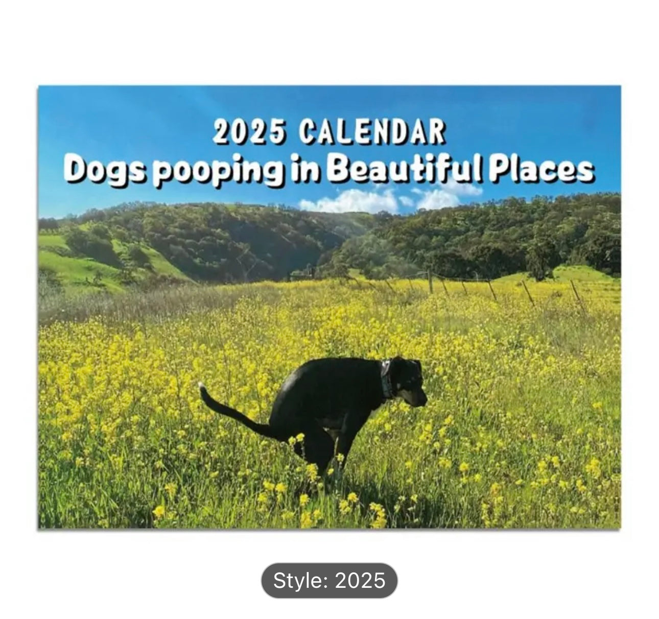 2025 Calendars