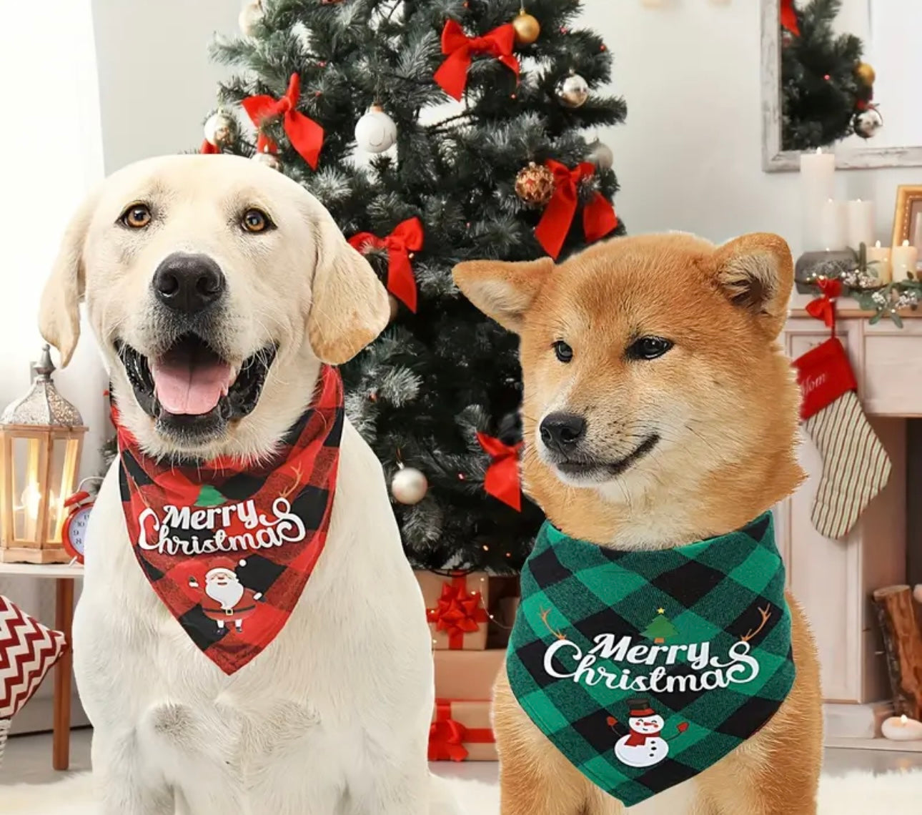 Christmas Eve, Christmas Day Gifts and Decorations for all your Family, Friends and Pets