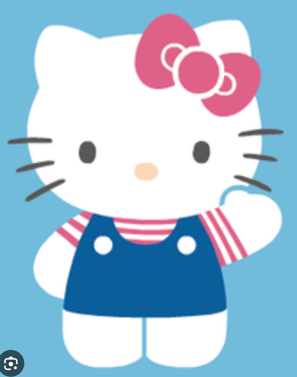 Sanrio Character Gel Pen